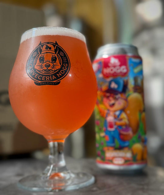 Lata 473cc Raspberry Ale